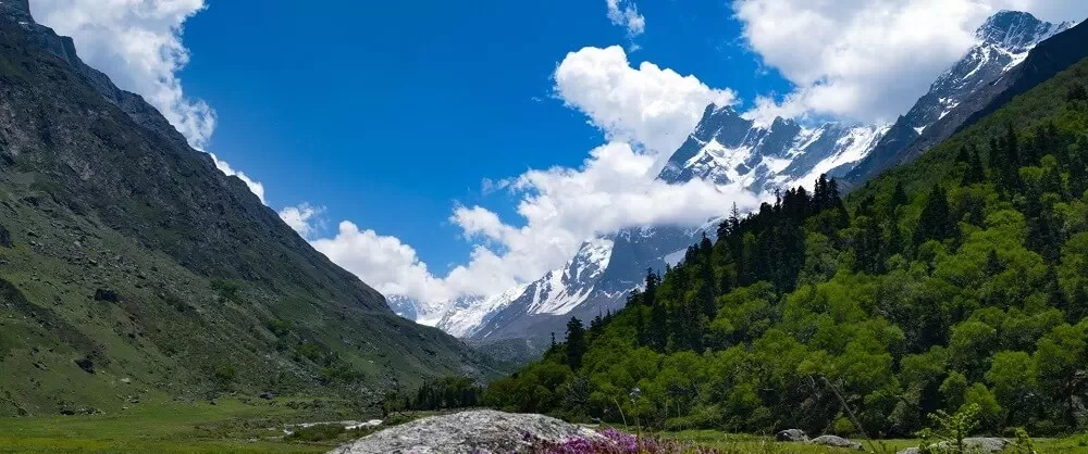 HAR KI DUN Trek Bunny