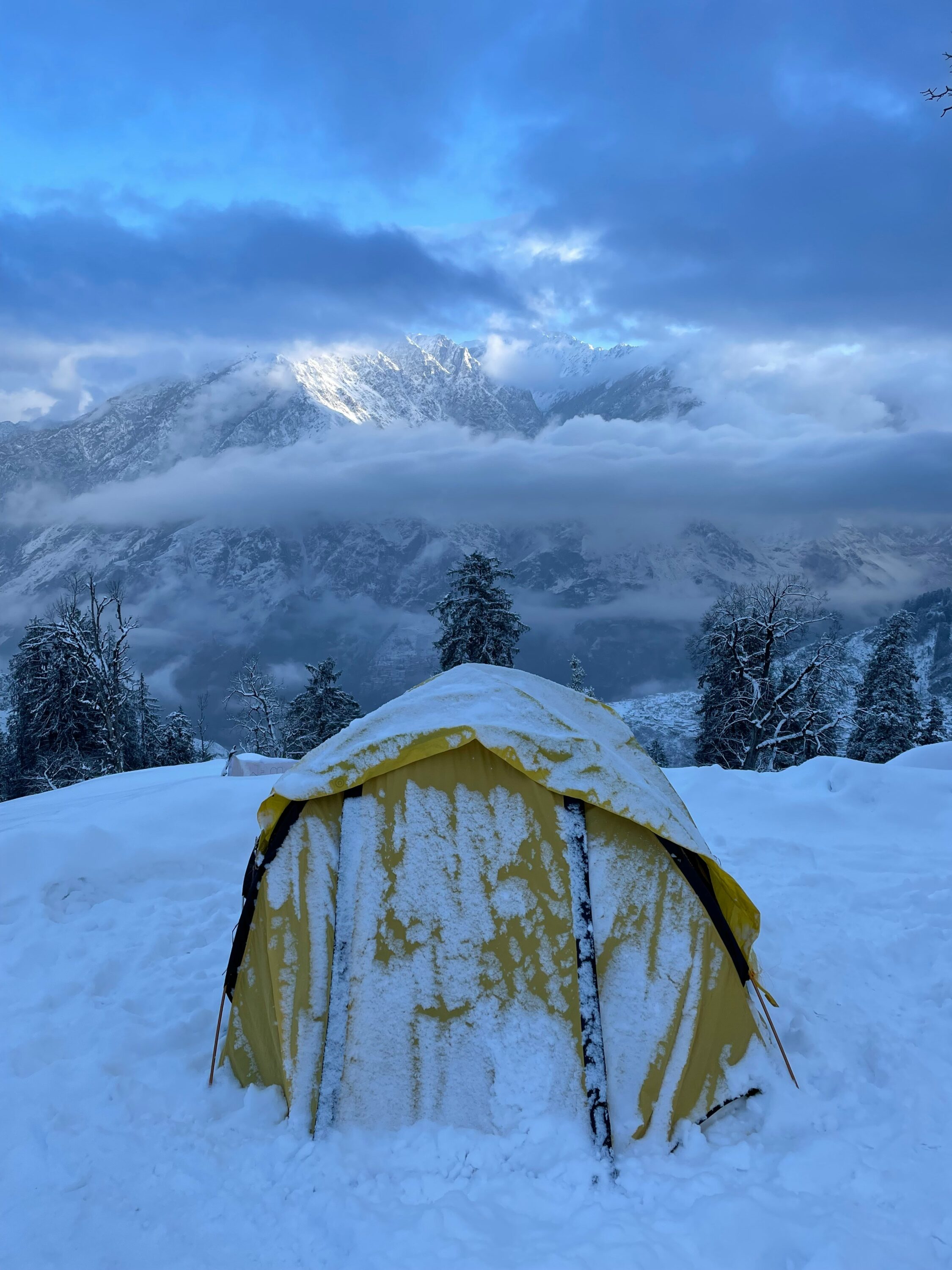 Kuari Pass Trek Bunny